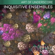 Inquisitive ensembles cover image