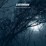 Through the gates of light cover image