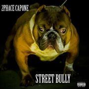 Street bully cover image