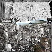 Hidden in plain sight cover image