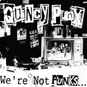 We're not punks...but we play them on tv cover image