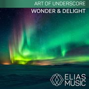 Wonder & delight cover image
