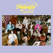 Midnight guest cover image
