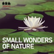 Small wonders of nature cover image