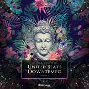 United beats of downtempo, vol. 3 cover image