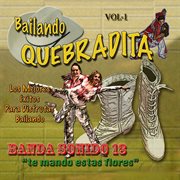 Bailando quebradita, vol. 1 cover image