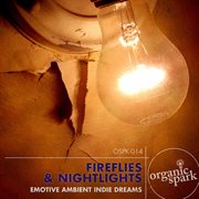 Fireflies & nightlights cover image