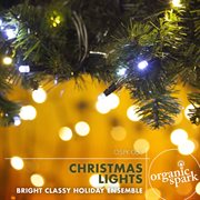 Christmas lights cover image