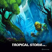 Tropical storm, vol. 2 cover image
