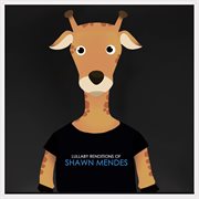 Lullaby renditions of shawn mendes cover image