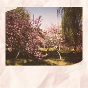 Picnic love cover image