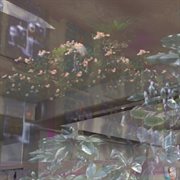 Enhanced interior landscapes cover image