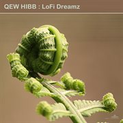 Lofi dreamz cover image