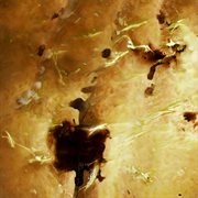 Requima ii cover image