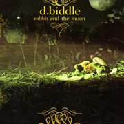Rabbit and the moon cover image