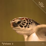 Slow motionized lofi, vol. 2 cover image