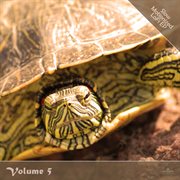 Slow motionized lofi, vol. 5 cover image