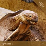 Slow motionized lofi, vol. 7 cover image