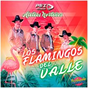 Aleteos norteños cover image