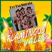 Por esa ingrata cover image