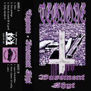 Basement shyt cover image