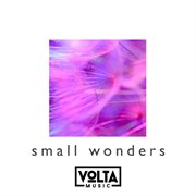 Small wonders cover image