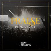Praise instrumental, vol. 2 cover image