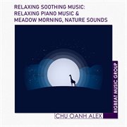 Relaxing soothing music: relaxing piano music & meadow morning, nature sounds cover image