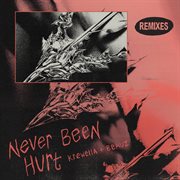 Never been hurt cover image