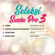 Seleksi Sunda Pro 3 cover image