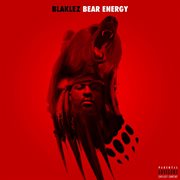Bear energy cover image