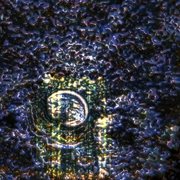 Seraph Cycles cover image