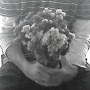 las flores que me diste cover image