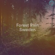 Forest rain sweden cover image