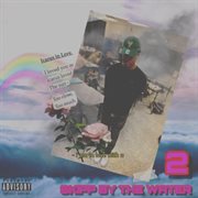 Skipp by the water 2 cover image