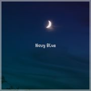 Navy blue cover image