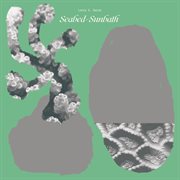 Seabed-sunbath cover image