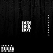 Dunderboy cover image