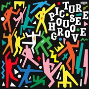 Picture house groove cover image