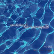 Ambient grooves 3 cover image