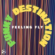 Feeling fly cover image