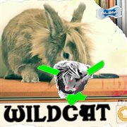 Wildcat cover image