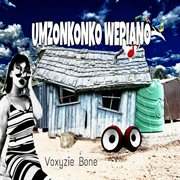 Umzonkonko wepiano cover image