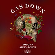 Gas down cover image