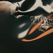 Reality fallacy cover image