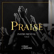 Praise instrumental, vol. 3 cover image