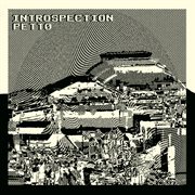 Introspection cover image