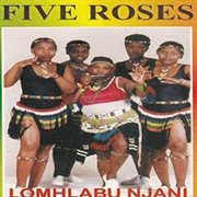 Lomhlabu njani cover image