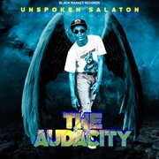 The audacity cover image