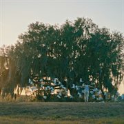 Orquídeas cover image